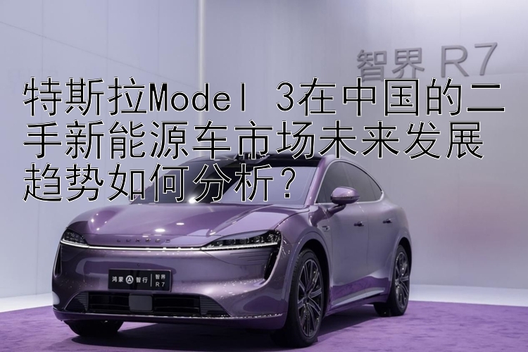 特斯拉Model 3在中国的二手新能源车市场未来发展趋势如何分析？