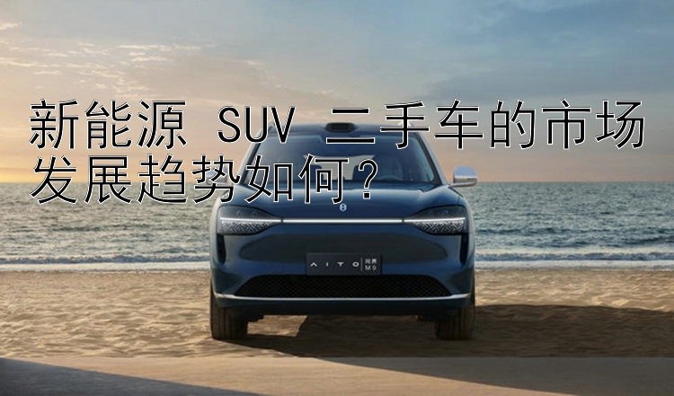 新能源 SUV 二手车的市场发展趋势如何？