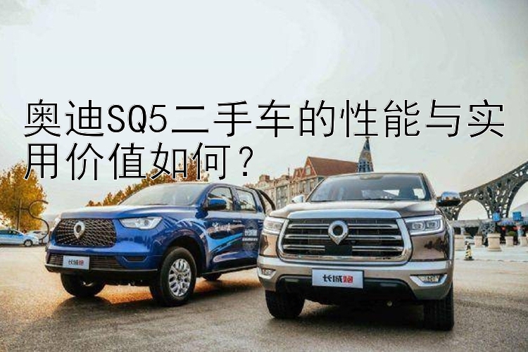 奥迪SQ5二手车的性能与实用价值如何？