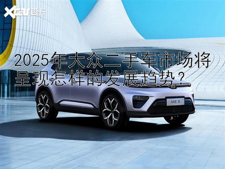 2025年大众二手车市场将呈现怎样的发展趋势？