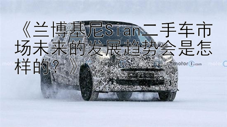 《兰博基尼Sian二手车市场未来的发展趋势会是怎样的？》